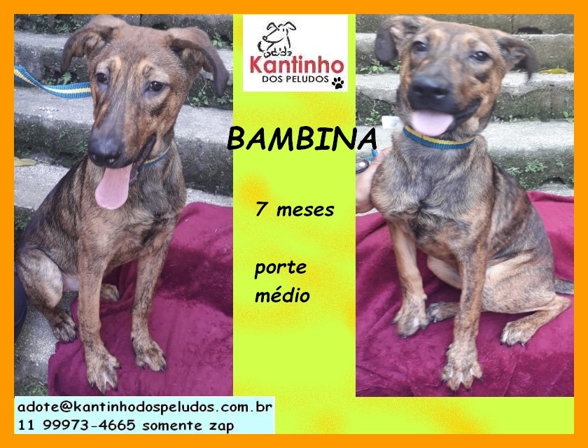 Bambina Filhote