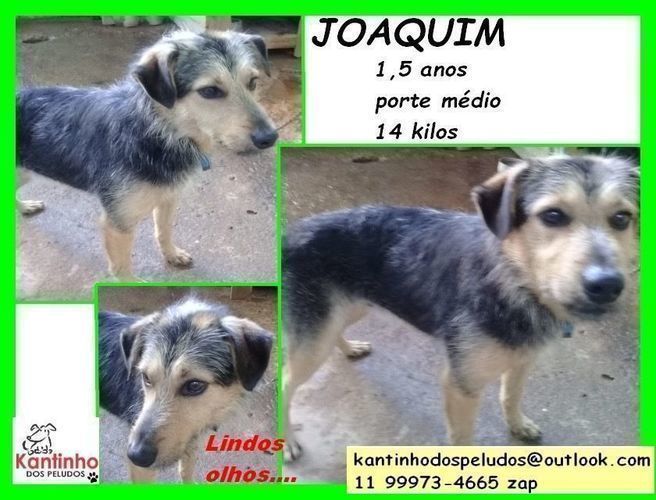 Joaquim