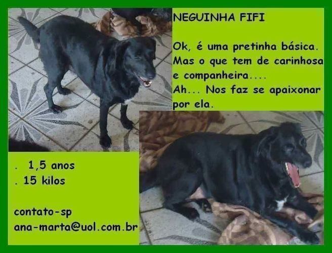 Neguinha Fifi