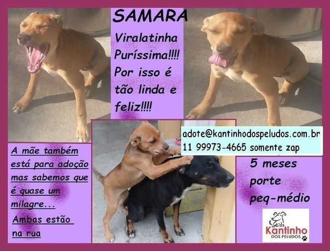 Samara Filhote