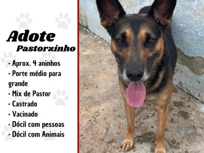 Pastorzinho