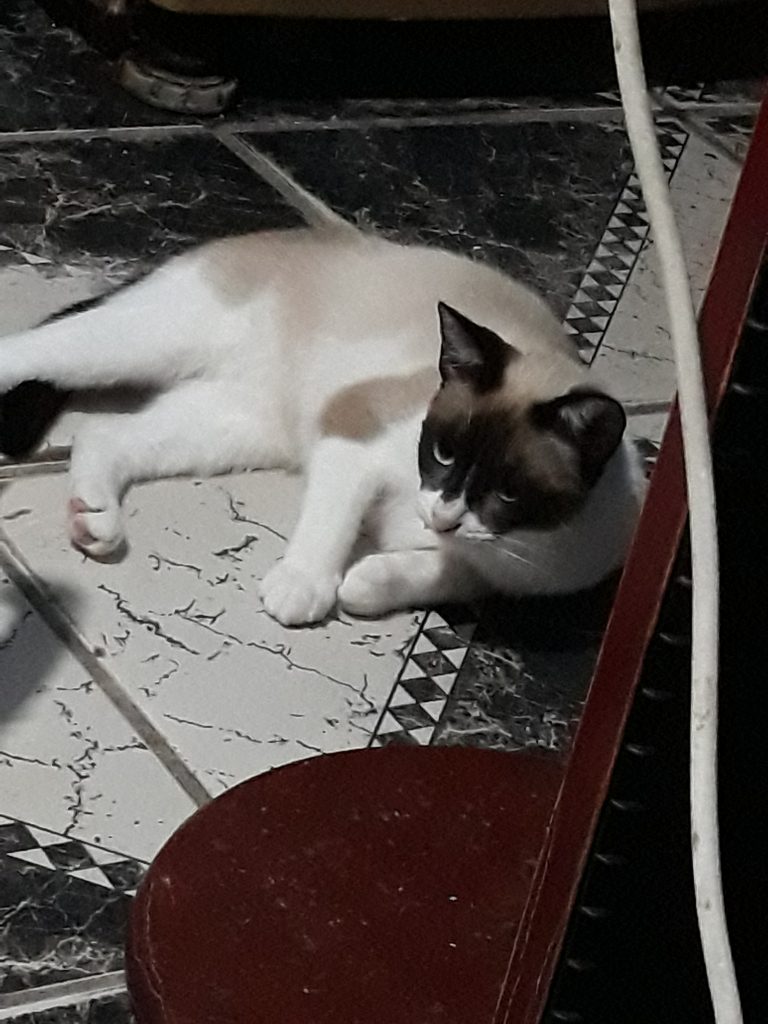 Kira e Milla