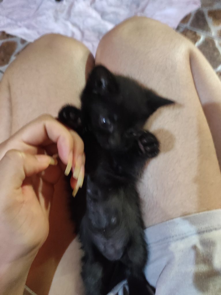 Pequenos anjos