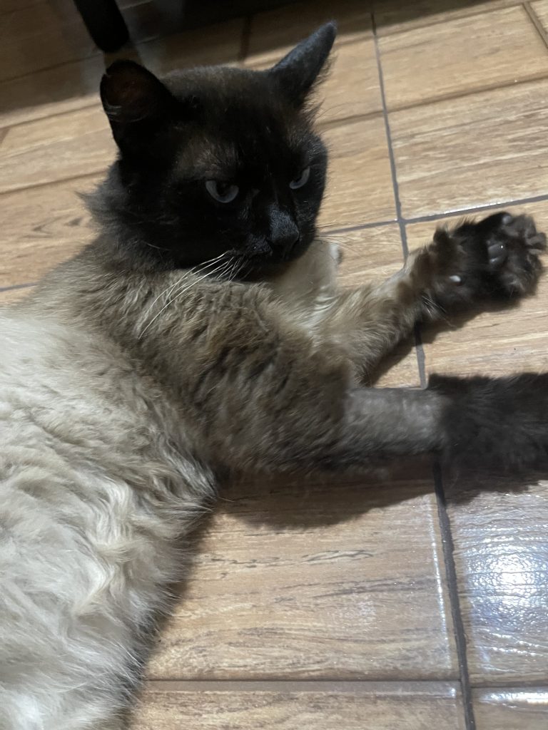 Lucius