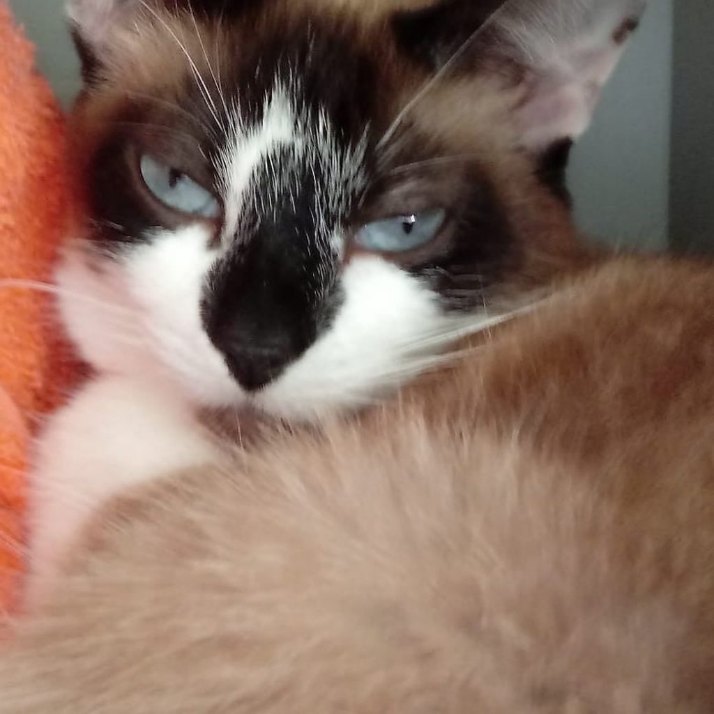 Branca belíssima