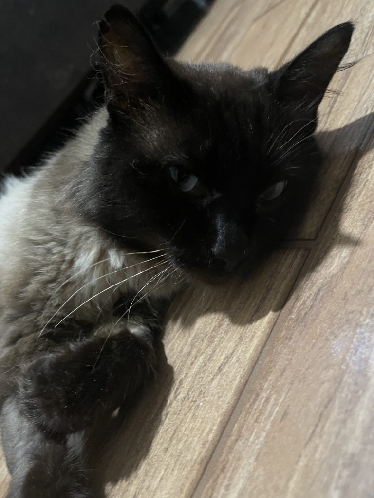 Lucius