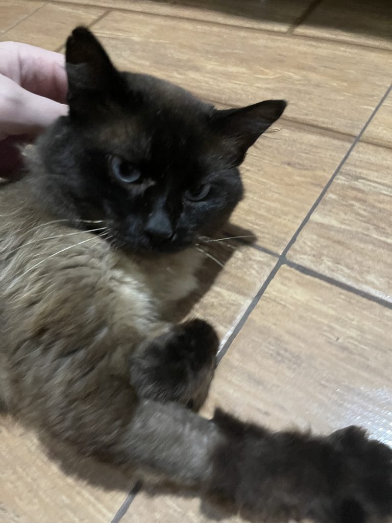 Lucius