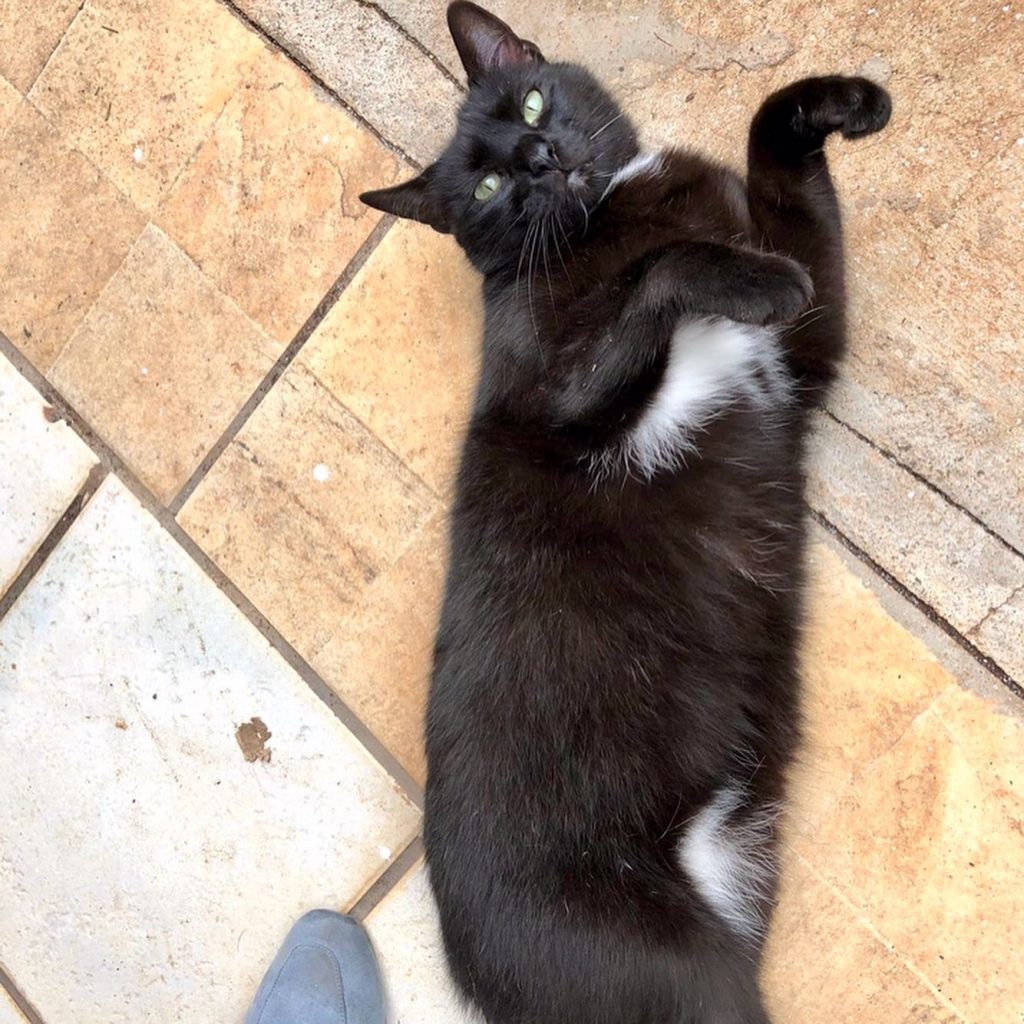 Luna Linda e muito boazinha