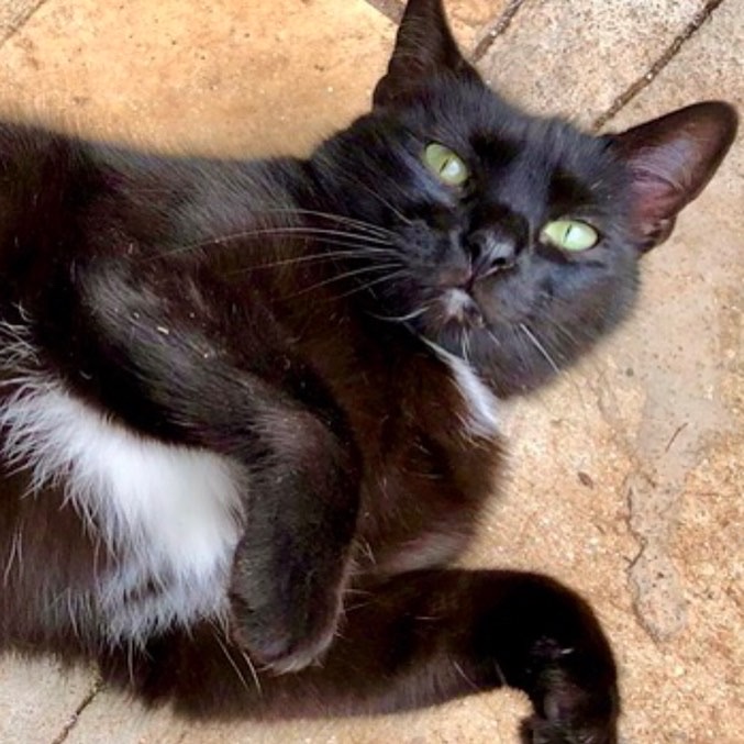 Luna Linda e muito boazinha
