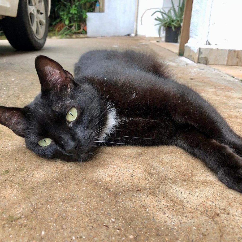 Luna Linda e muito boazinha