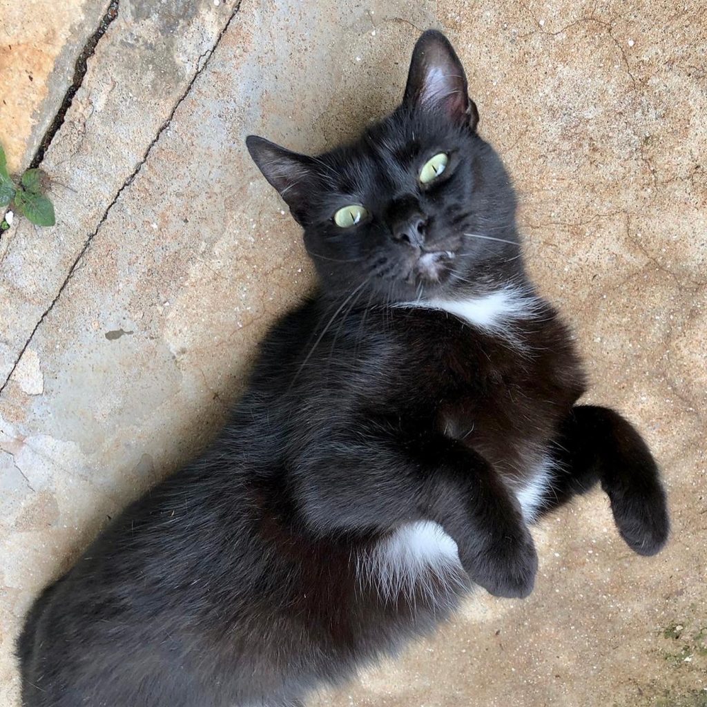 Luna Linda e muito boazinha