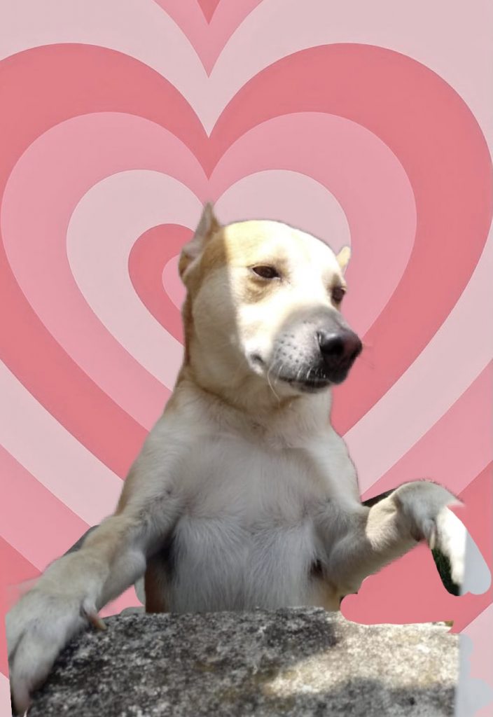 Trovão bonzinho