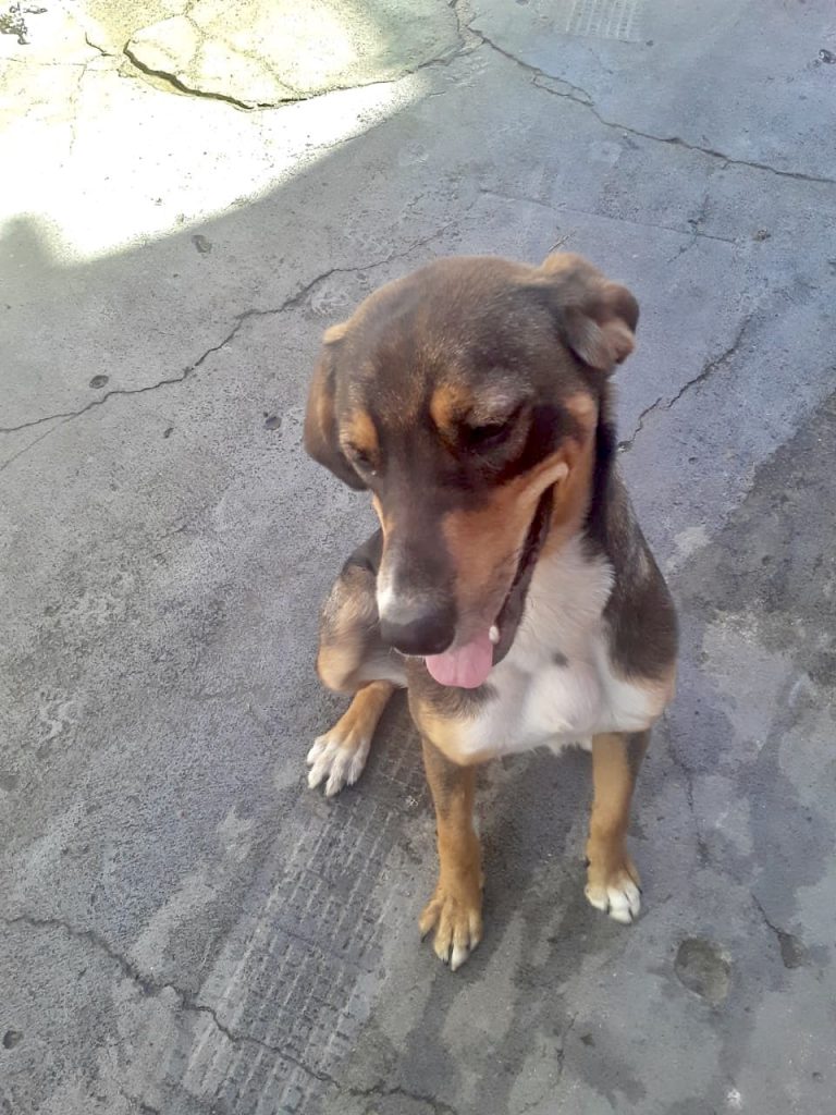 Carly Linda boazinha bb9meses
