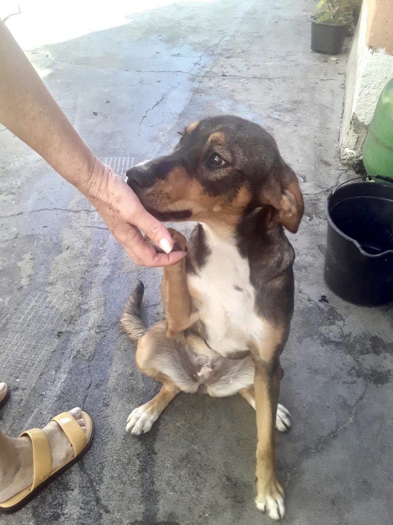 Carly Linda boazinha bb9meses