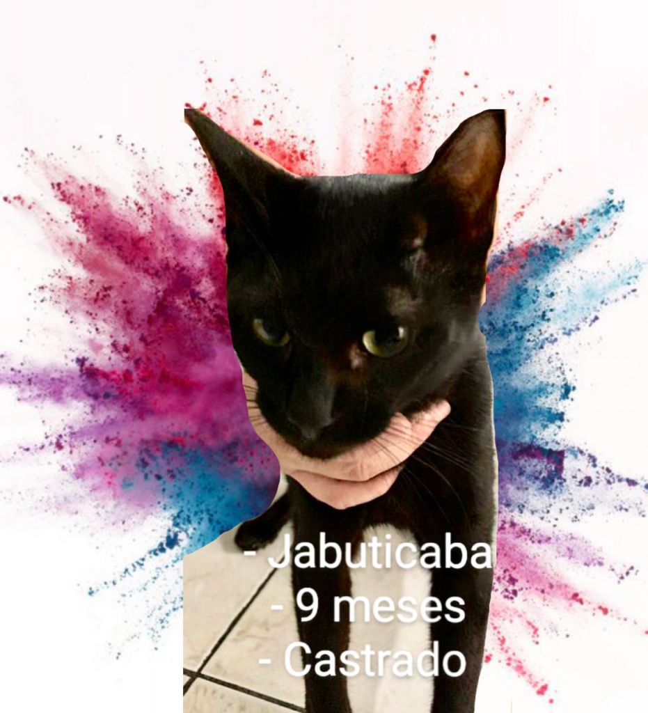 Jabuticaba lindo