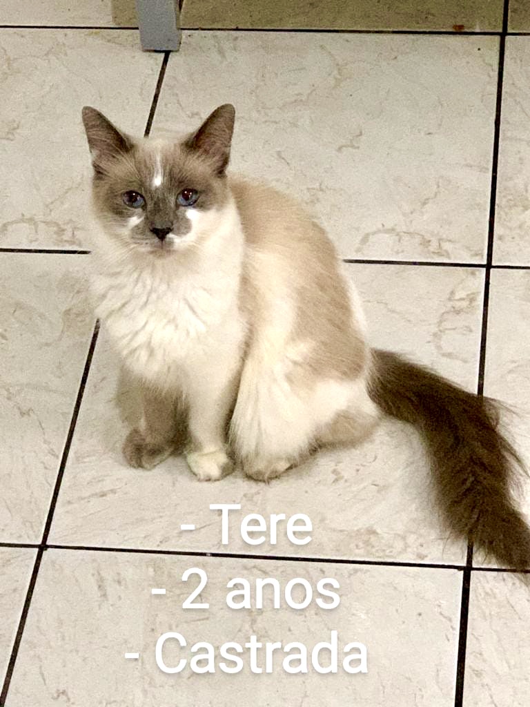 Tere lindíssima