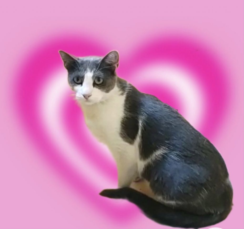 Fred lindo e muito bonzinho