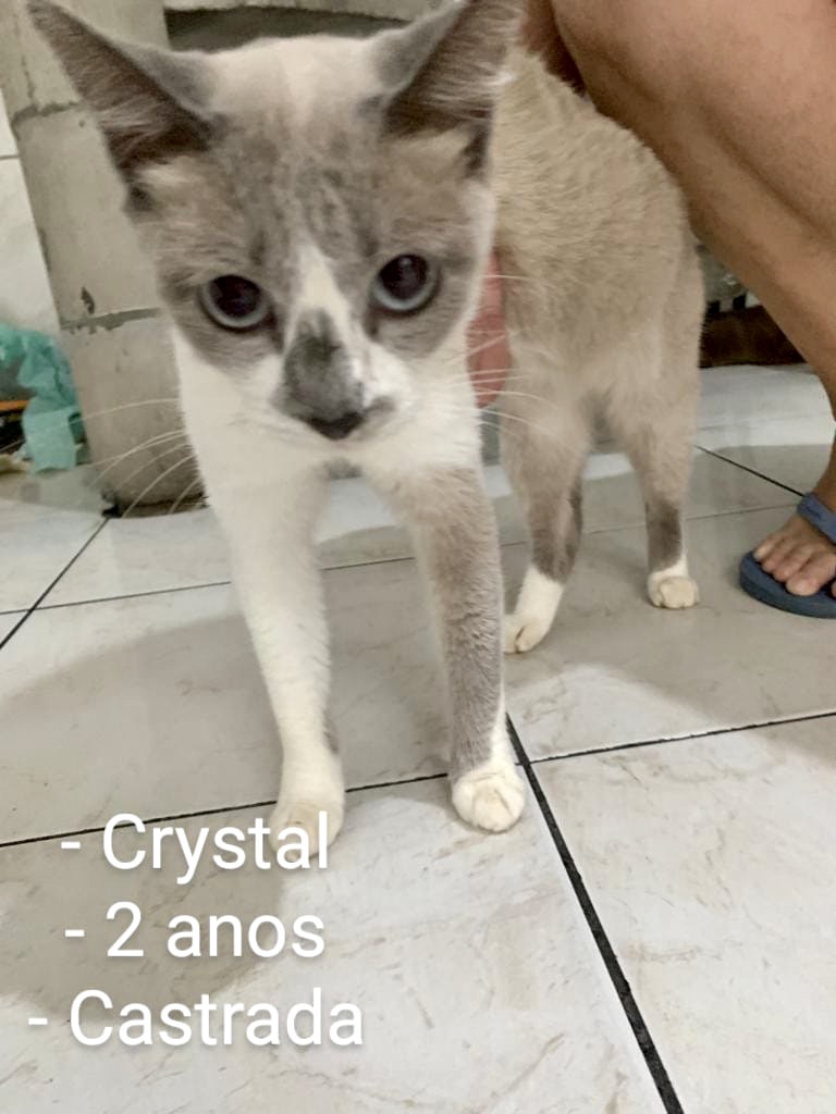 Cristal linda