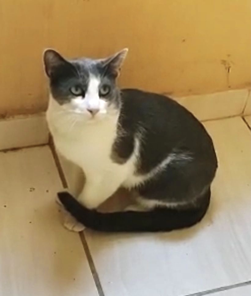 Fred lindo e muito bonzinho