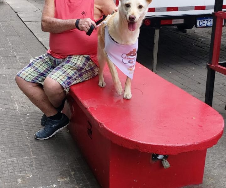 Cachorrinha (Adoção Urgente)