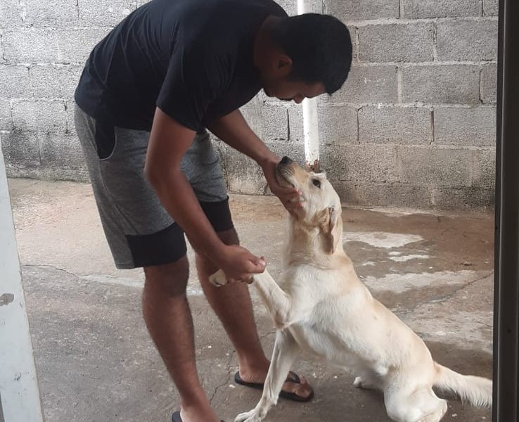 Cacau (Adoção Urgente)