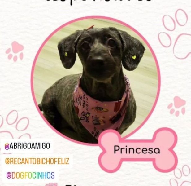 Princesa (Adoção Urgente)