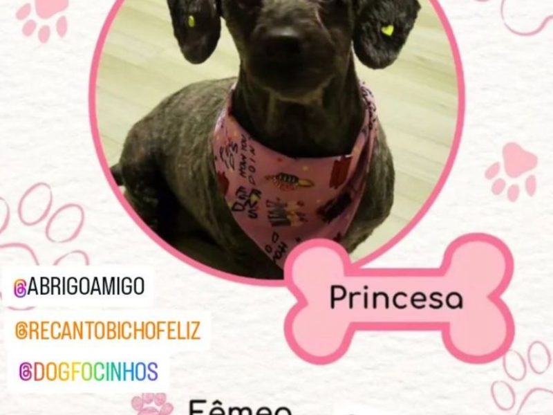 Princesa (Adoção Urgente)
