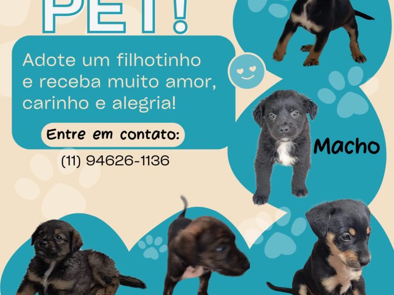 Filhotes (Adoção Urgente)