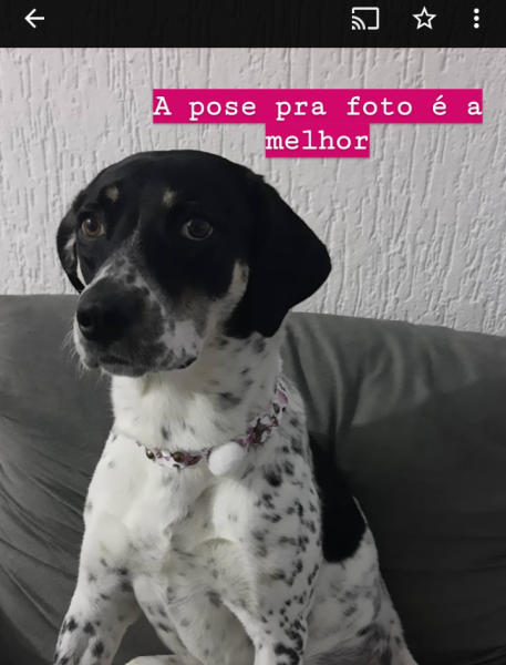Madalena (Adoção Urgente)