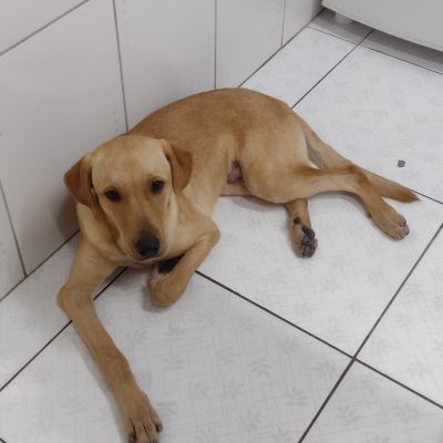 DIEGO