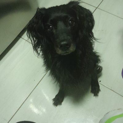 Tiago