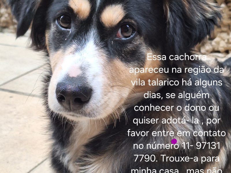 Menina (Adoção Urgente)