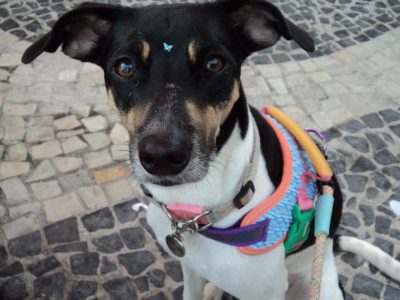 Freela (Adoção Urgente)