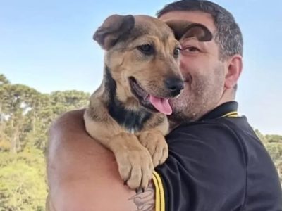 Mell (Adoção Urgente)