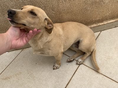 Kiara e Luke (Adoção Urgente)