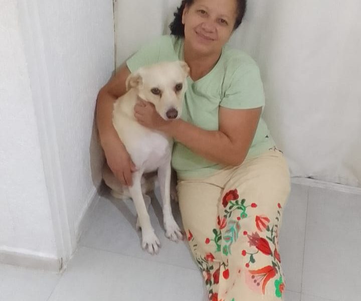 Porte P/M (Adoção Urgente)