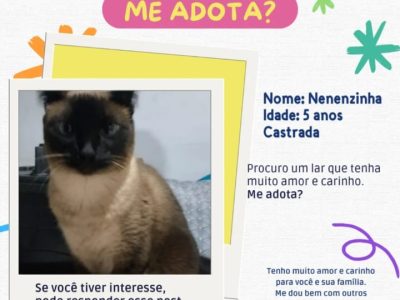 2 Gatos (Adoção Urgente)