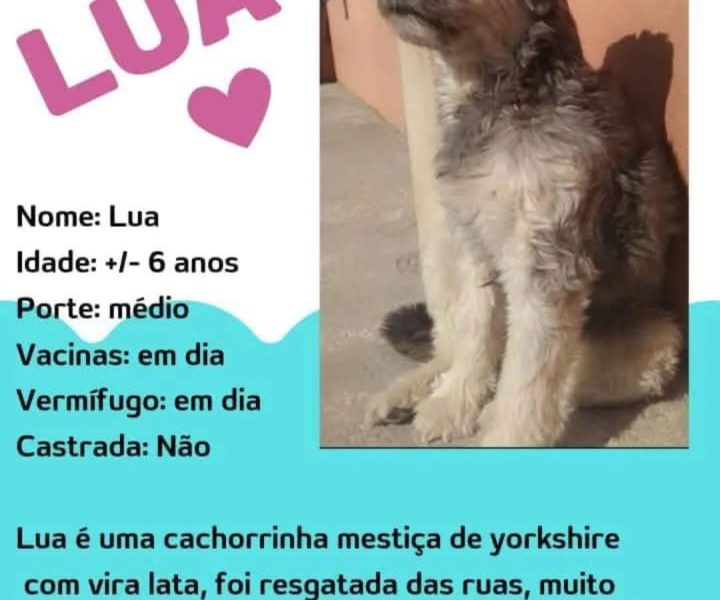 Lua (Adoção Urgente)