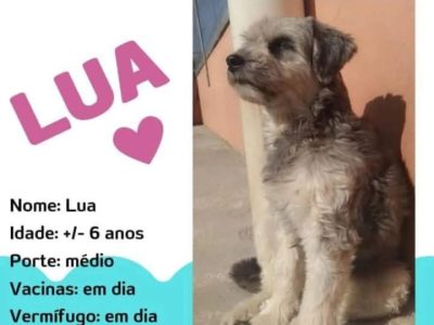 Lua (Adoção Urgente)