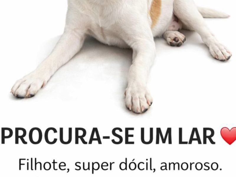 Antônio (Adoção Urgente)
