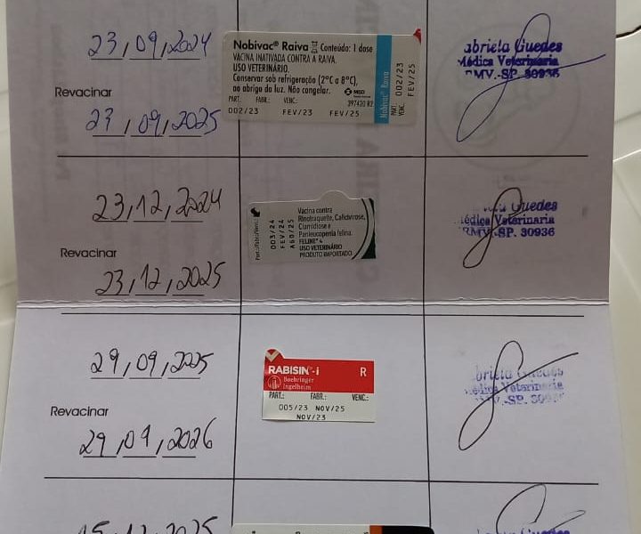 Porte M/P (Adoção Urgente)