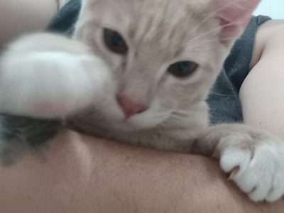 George (Adoção Urgente)