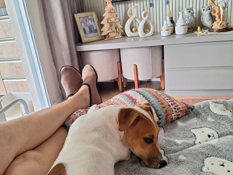 Ricki (Adoção Urgente)