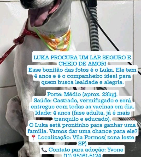 Luka (Adoção Urgente)