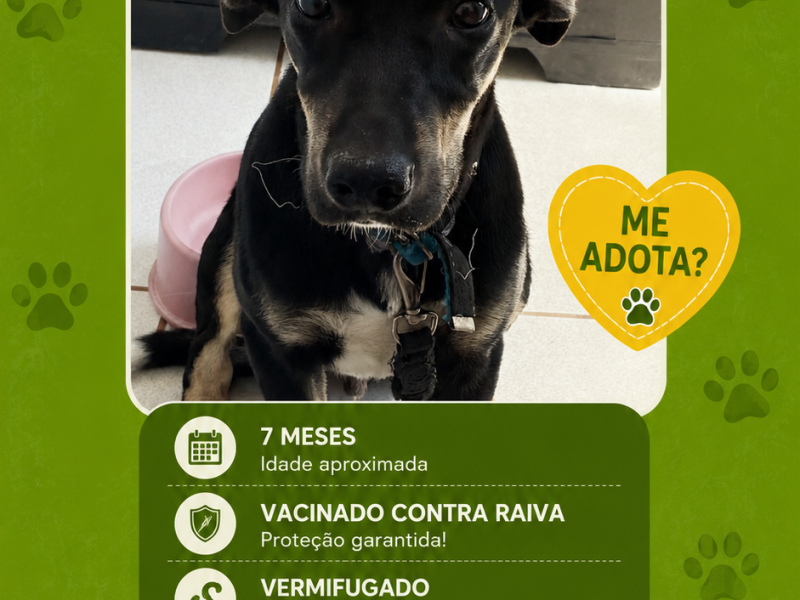 Pretinha e Benny (Adoção Urgente)