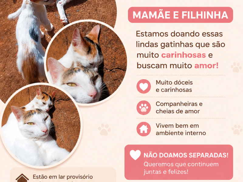Kloe e Maline (Adoção Urgente)