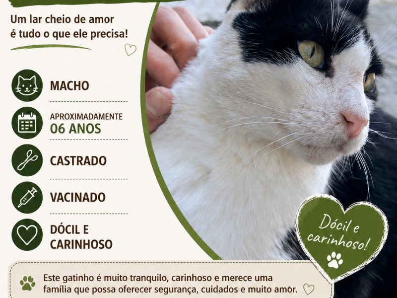 Floyd (Adoção Urgente)