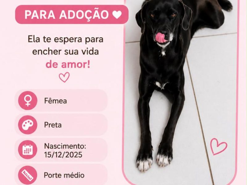 Frank e Nina (Adoção Urgente)