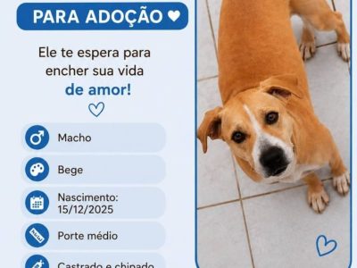 Frank e Nina (Adoção Urgente)