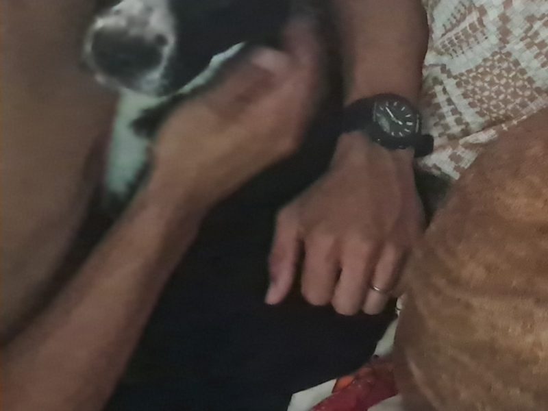 Zury (Adoção Urgente)